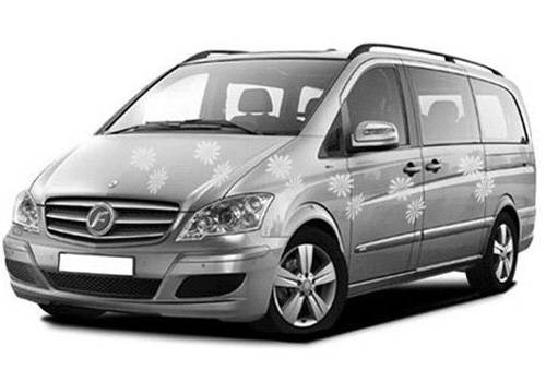 Force Viano Insurance